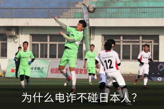 为什么电诈不碰日本人？