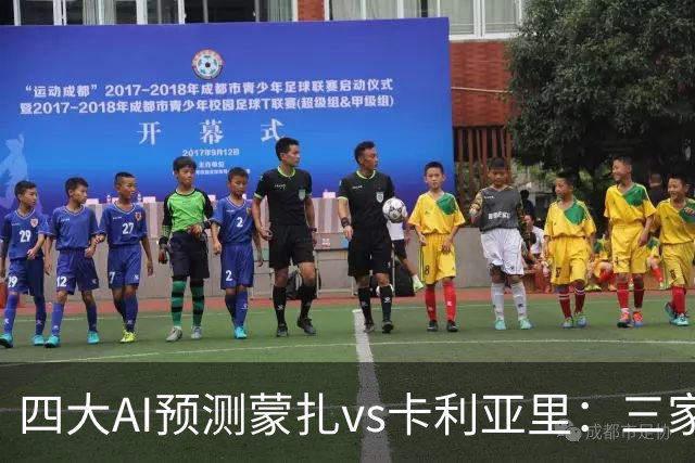 四大AI预测蒙扎vs卡利亚里：三家看好客胜，豆包倾向平局