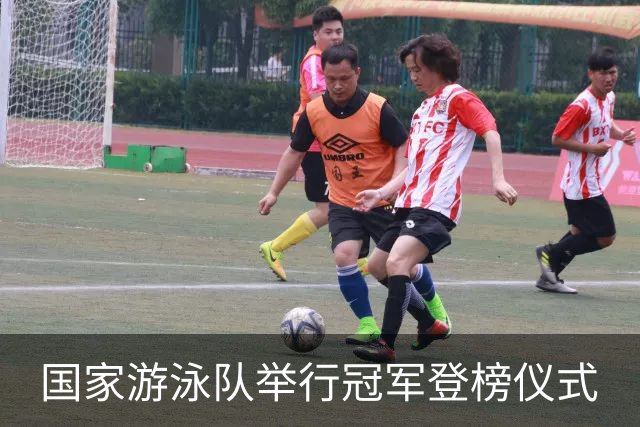 国家游泳队举行冠军登榜仪式