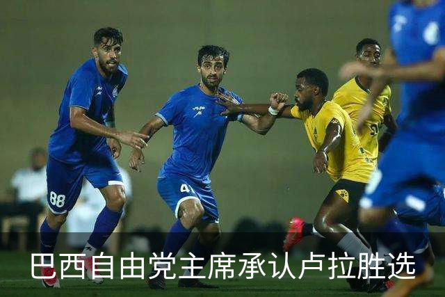 巴西自由党主席承认卢拉胜选