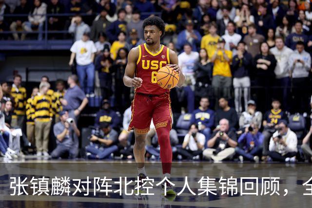 张镇麟对阵北控个人集锦回顾，全场得到28分4助攻