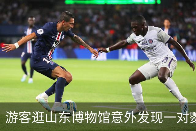 游客逛山东博物馆意外发现一对鹦鹉木雕神似奶龙，体态圆润颜色清澈，馆方：是旧时泰山旅店吸引香客的招幌