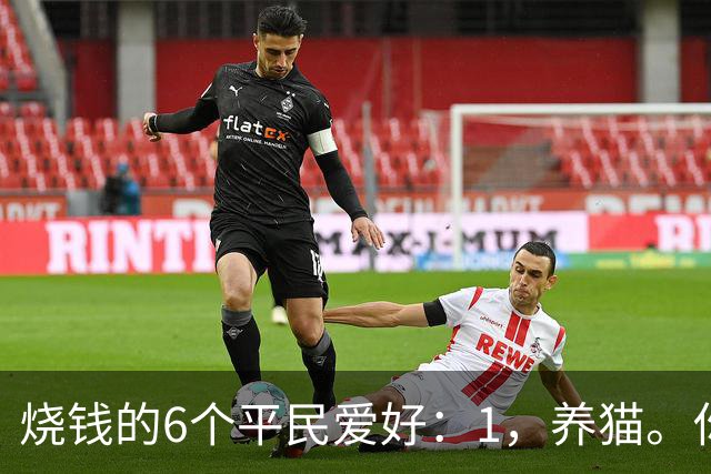 烧钱的6个平民爱好：1，养猫。你以为养的是猫…