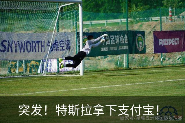 突发！特斯拉拿下支付宝！