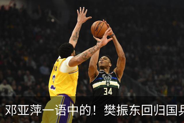 邓亚萍一语中的！樊振东回归国乒，不是回不回的问题，而是怎么回