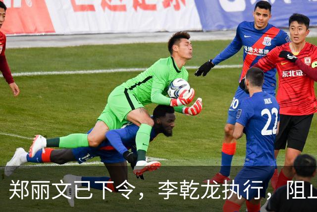 郑丽文已下令，李乾龙执行，阻止连署开除赵少康，蓝营避免大内斗